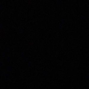 Meet your Posher, Sophie